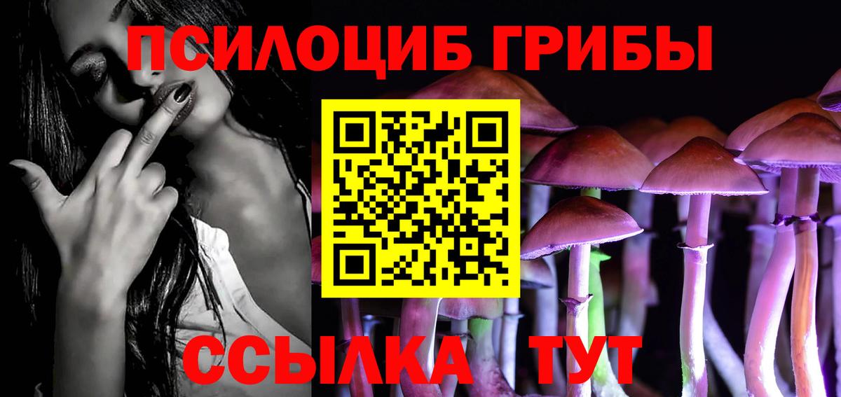 Псилоцибиновые грибы Cubensis Лабытнанги